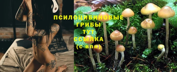 кокс Белокуриха